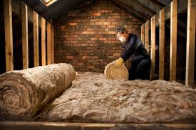 Best Attic Insulation Installation  in Santa Rosa, TX