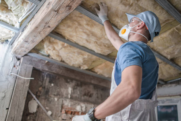 Professional Insulation Installation & Removal in Santa Rosa, TX