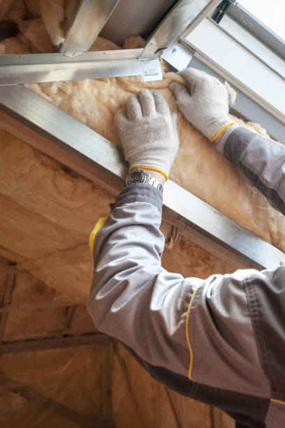 Best Garage Insulation  in Santa Rosa, TX