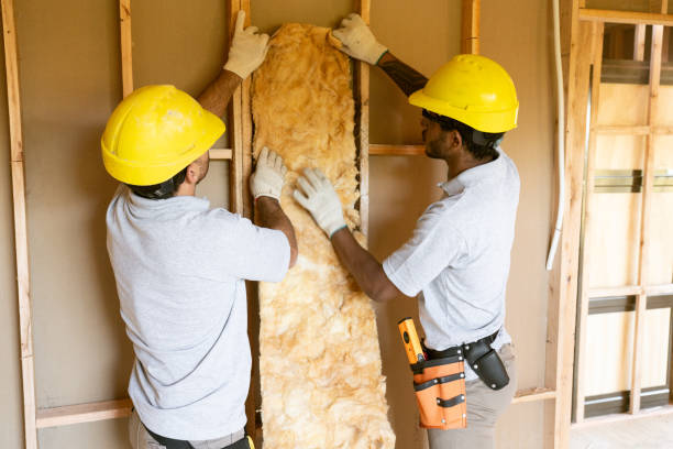 Eco-Friendly or Green Insulation Solutions in Santa Rosa, TX