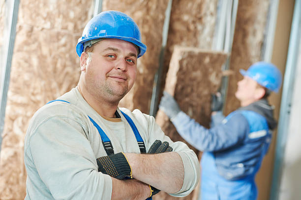 Best Basement Insulation  in Santa Rosa, TX